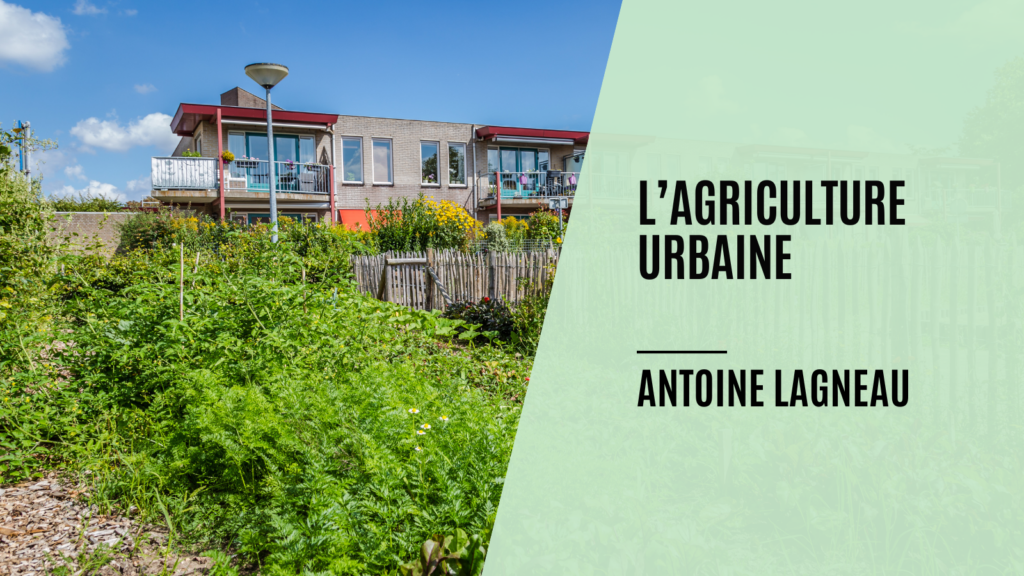 Qu’attendre de l’agriculture urbaine?