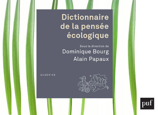 Présentation du « Dictionnaire de la pensée écologique »